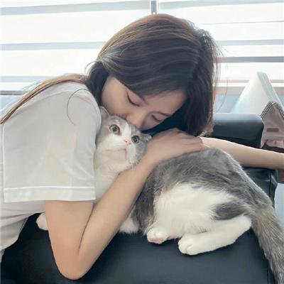 金鼠王