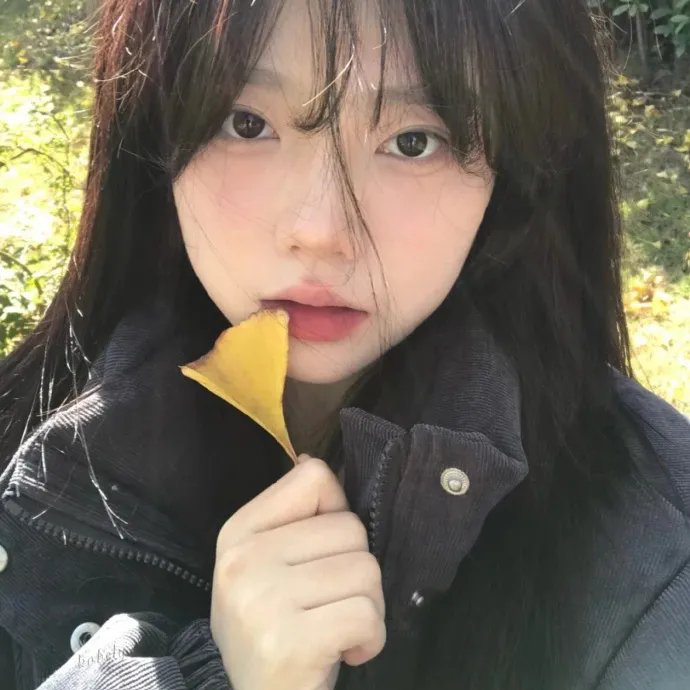 两只小猫的故事